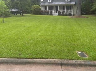 Lorna H.'s grass cutting service result