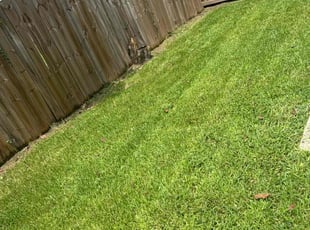 Boz M.'s lawn maintenance service result