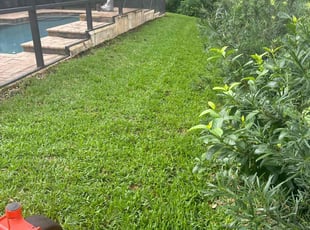 Donald R.'s turf care service result