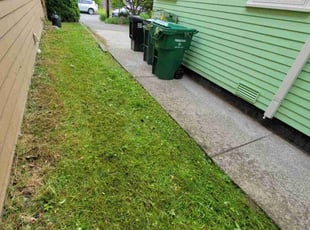 Edwin A.'s lawn service service result