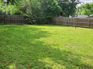 Pam F.'s grass cutting service result