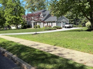 Corey D.'s turf care service result