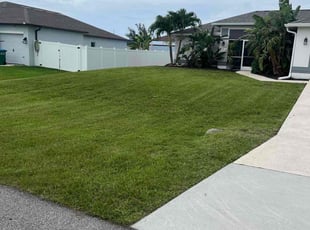 Danielle S.'s turf care service result