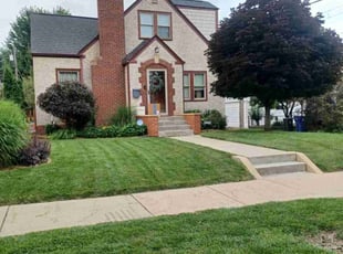 Andrew R.'s Bush Trimming service result
