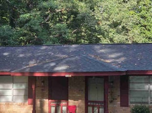 Mary B.'s lawn care service result