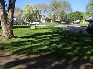 Aaron B.'s lawn care services service result