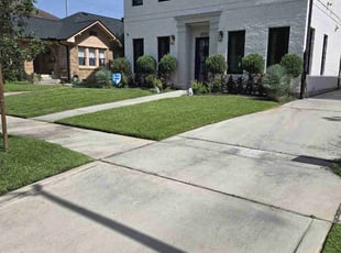 Azziza J.'s grass maintenance service result