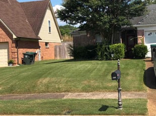 Dorsay E.'s grass cutting service result