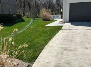 Michelle B.'s grass maintenance service result