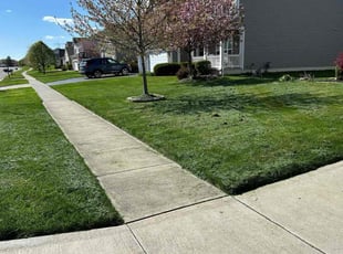 Thomas L.'s turf care service result