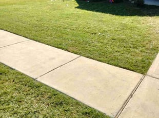 Cheryl A.'s lawn care services service result