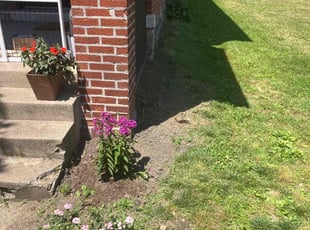 James K.'s grass cutting service result