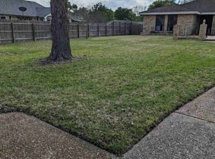 Thomas d.'s lawn care service result