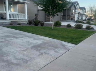 Kenneth K.'s lawn maintenance service result