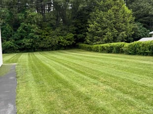 Brandon T.'s grass cutting service result