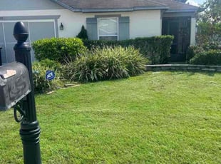 Leitha W.'s grass cutting service result