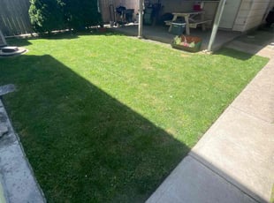 Susan B.'s grass maintenance service result