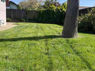 Sharon M.'s grass maintenance service result