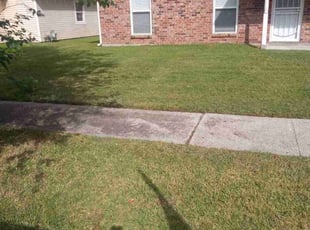Meng Q.'s lawn maintenance service result
