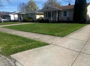 Frances B.'s lawn service service result