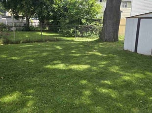 Lucas S.'s lawn care services service result