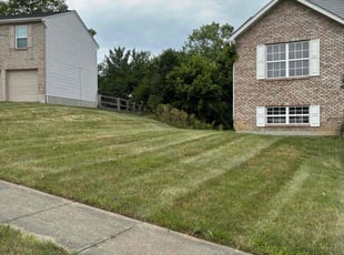 Josh S.'s lawn maintenance service result