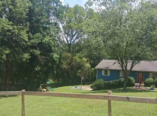 Connie L.'s turf maintenance service result