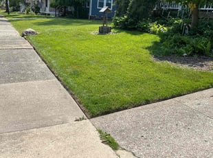 Pamela C.'s lawn service service result