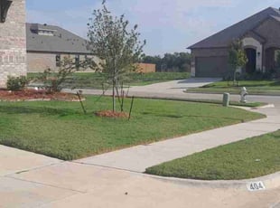 Helen C.'s lawn care service result