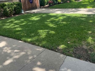 Wayne W.'s lawn service service result