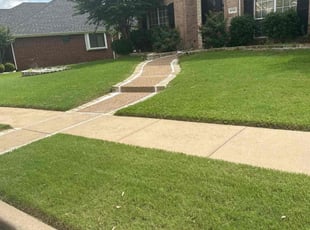 Jimmy B.'s lawn service service result