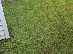 Erick D.'s lawn care services service result