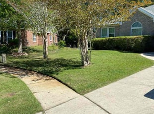 John S.'s turf maintenance service result