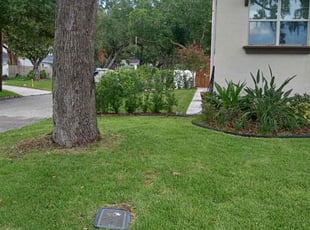 Melissa C.'s turf care service result