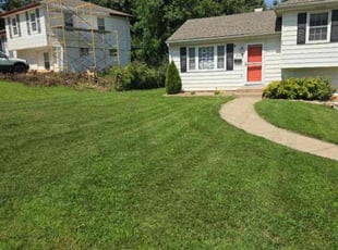 Bill M.'s lawn care service result
