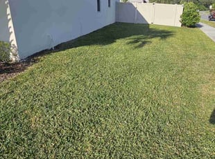 Jamiya J.'s turf maintenance service result