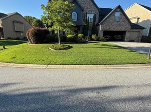 Cary G.'s lawn maintenance service result