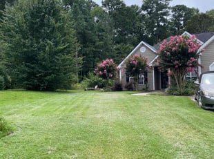 Iesha R.'s lawn maintenance service result