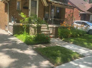 Newel M.'s lawn care services service result