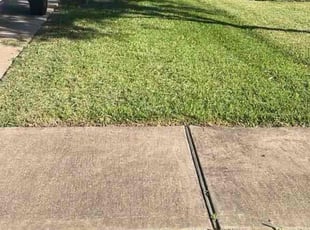 Nathaniel D.'s grass cutting service result