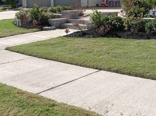 Duane L.'s turf care service result