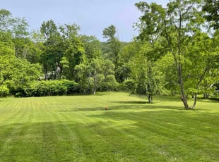 Leslie C.'s lawn care services service result
