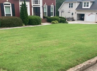 Ricca W.'s lawn service service result