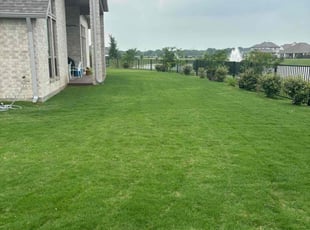 Janette B.'s lawn care services service result