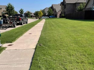 Dadignac H.'s lawn care service result