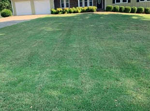 Bobbie C.'s lawn care service result