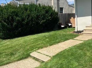 Core B.'s lawn service service result