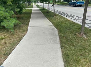 Rodney M.'s grass maintenance service result