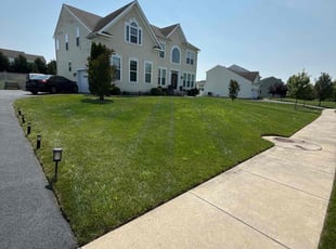 Karen H.'s turf maintenance service result