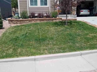 Phyllis C.'s lawn maintenance service result